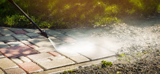 Best Dumpster Area Cleaning  in Bay Park, NY